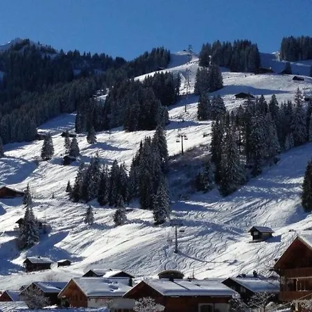 Butterfly Appartement-fewo- Bad- Wc- 3 Schlafraeume 4-zimmerwohnung By Interhome Appartement Adelboden